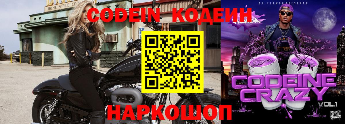 Новозыбков  Кодеиновый сироп Lean Purple Drank  продажа наркотиков  Вход с VPN  Codein Purple Drank 