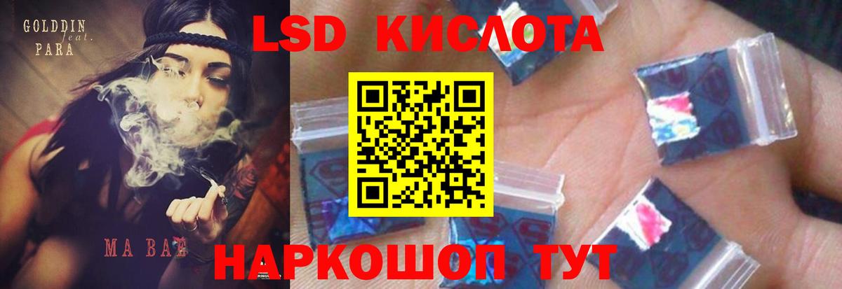 Новозыбков  LSD-25 экстази ecstasy  ЛСД экстази ecstasy  ОМГ ОМГ   Вход с VPN 