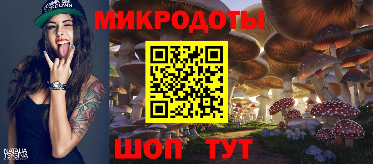Галлюциногенные грибы ЛСД  сколько стоит  Новозыбков  Вход с VPN  Псилоцибиновые грибы мицелий 